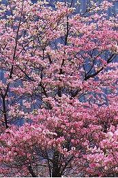 《死亡搁浅：导剪版》最终预告发布时间确定 9月8日下午公开